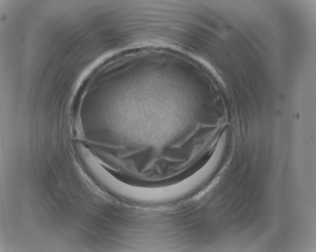 X0000083041118200702231923