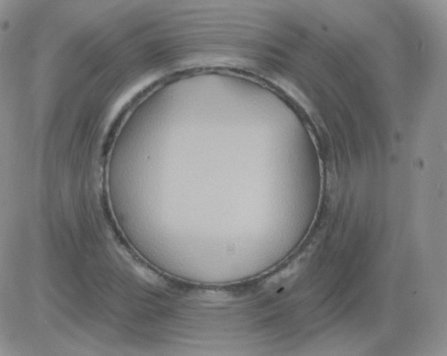 X0000083041119200702231923