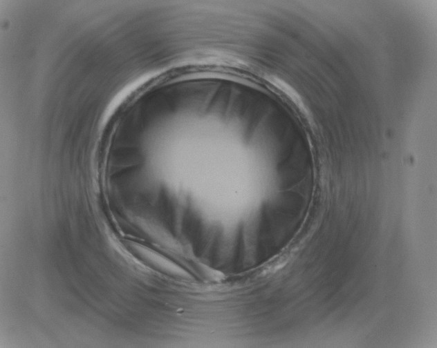 X0000083041120200702231923