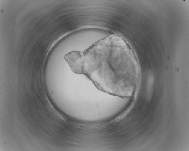 X0000083041121200702231923