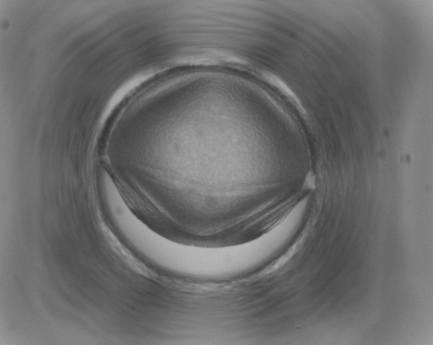 X0000083041122200702231923