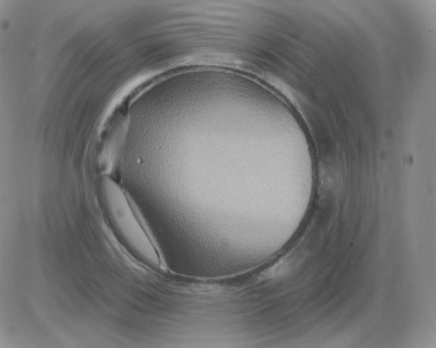 X0000083041123200702231923