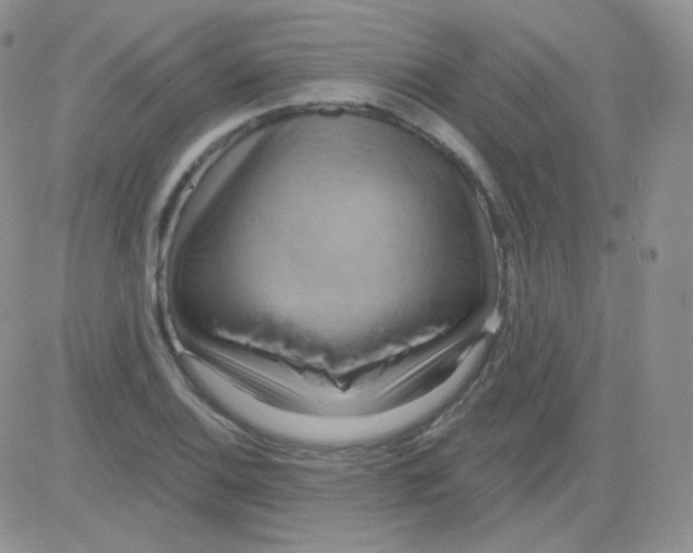 X0000083041124200702231923