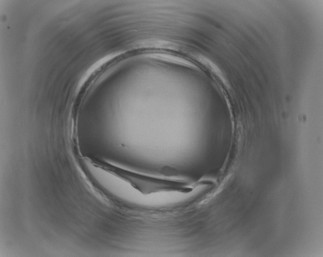 X0000083041125200702231923