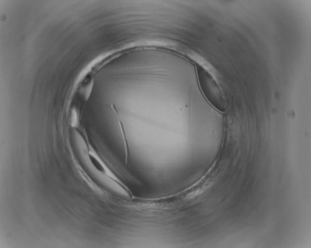 X0000083041127200702231923