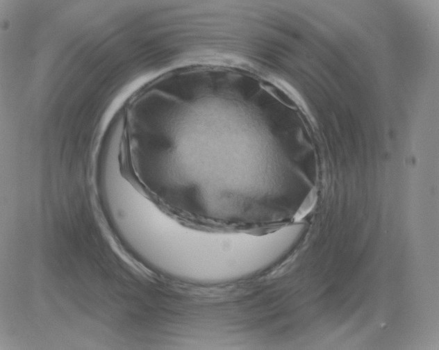 X0000083041128200702231923