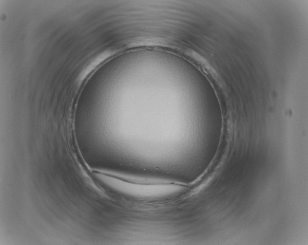 X0000083041129200702231923