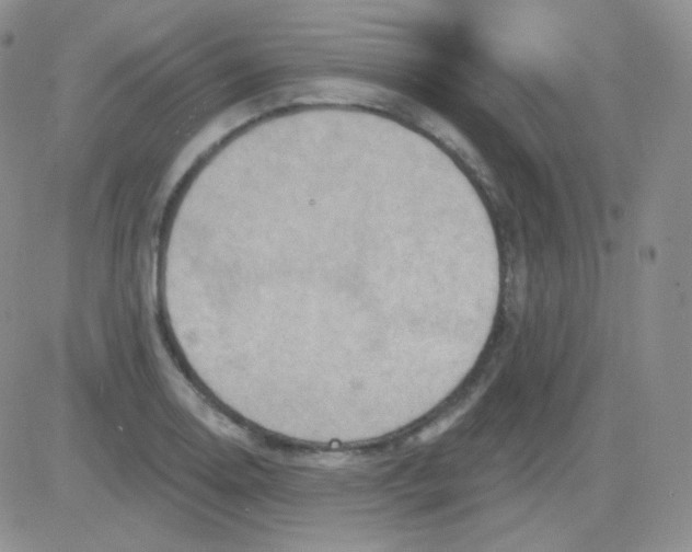 X0000083041130200702231923