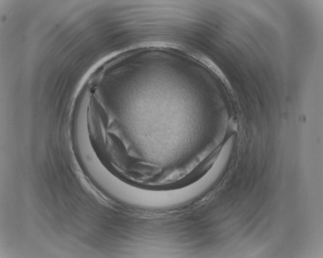 X0000083041132200702231923