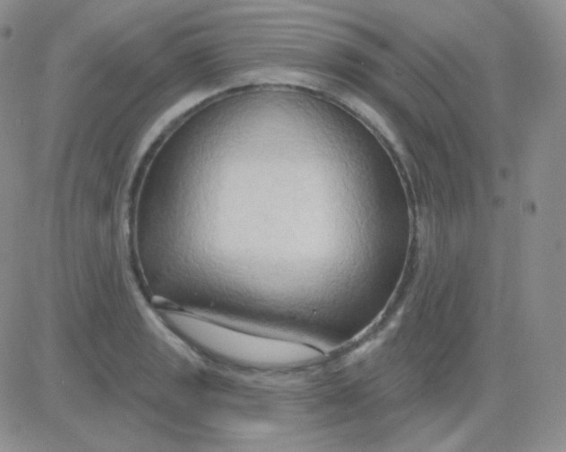 X0000083041133200702231923