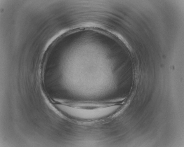 X0000083041134200702231923