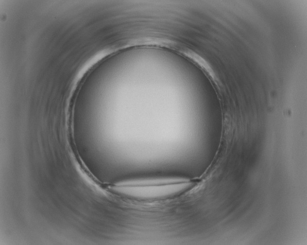 X0000083041135200702231923