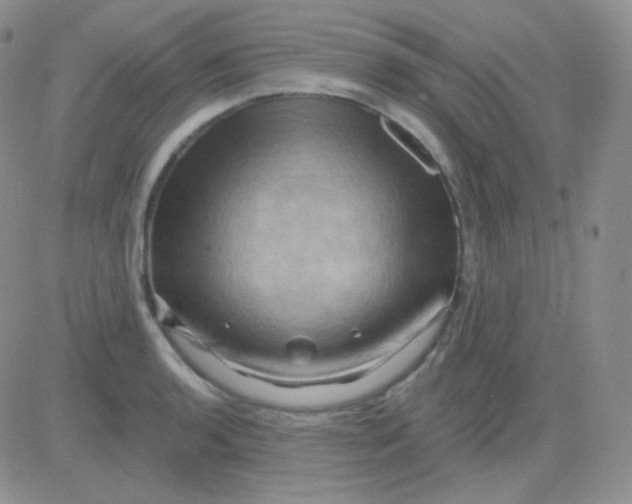 X0000083041136200702231923