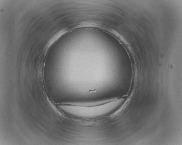 X0000083041137200702231923