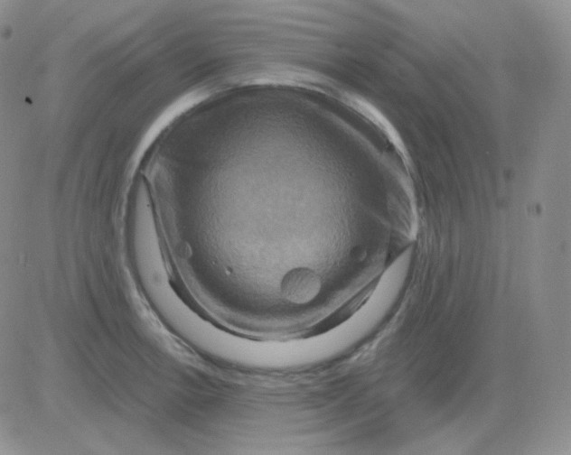 X0000083041138200702231923