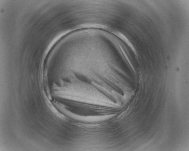 X0000083041140200702231923