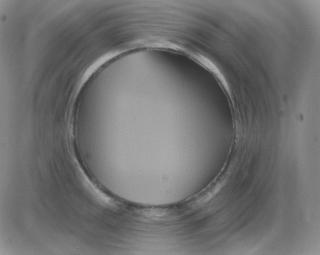 X0000083041141200702231923