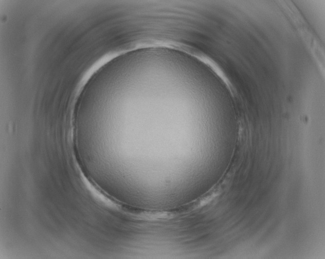 X0000083041143200702231923