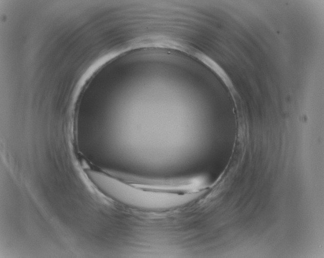 X0000083041144200702231923