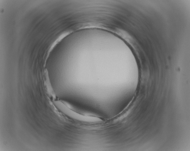 X0000083041145200702231923