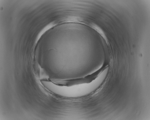 X0000083041146200702231923