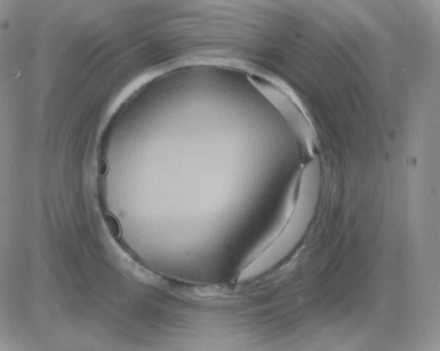 X0000083041147200702231923