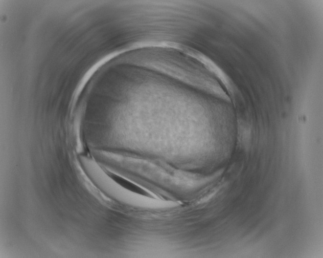 X0000083041148200702231923