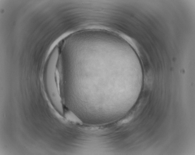 X0000083041149200702231923