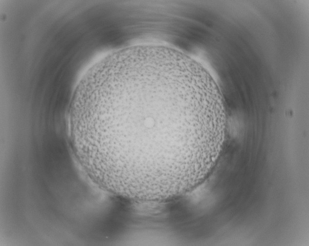 X0000083041150200702231923