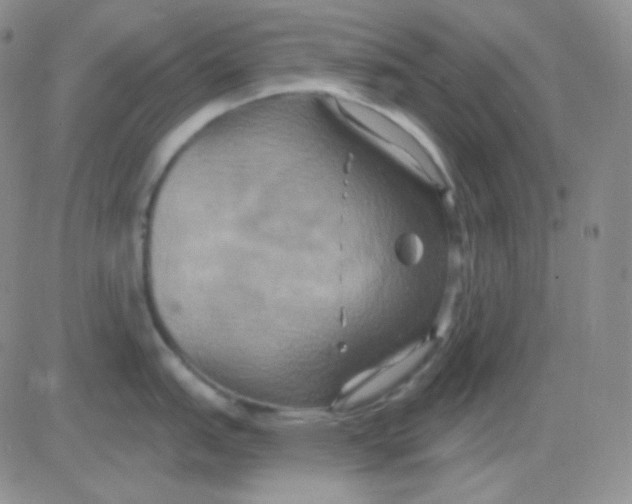 X0000083041151200702231923