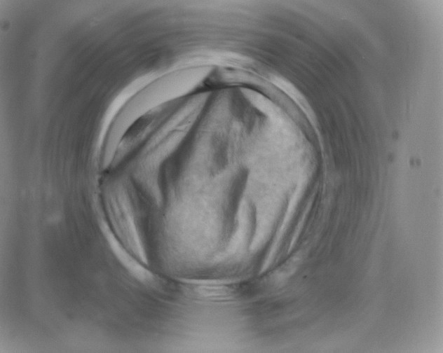 X0000083041152200702231923