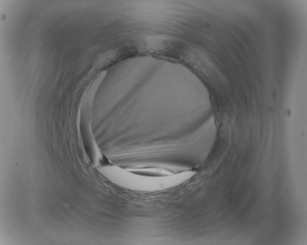 X0000083041153200702231922