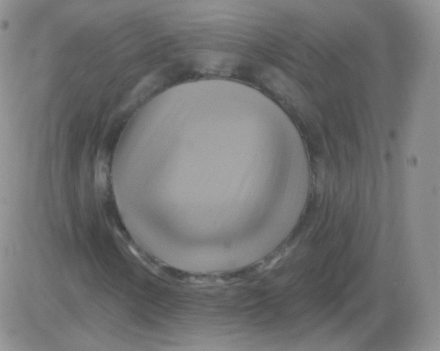 X0000083041154200702231922