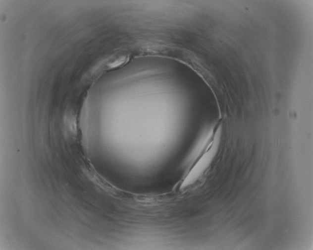 X0000083041155200702231922