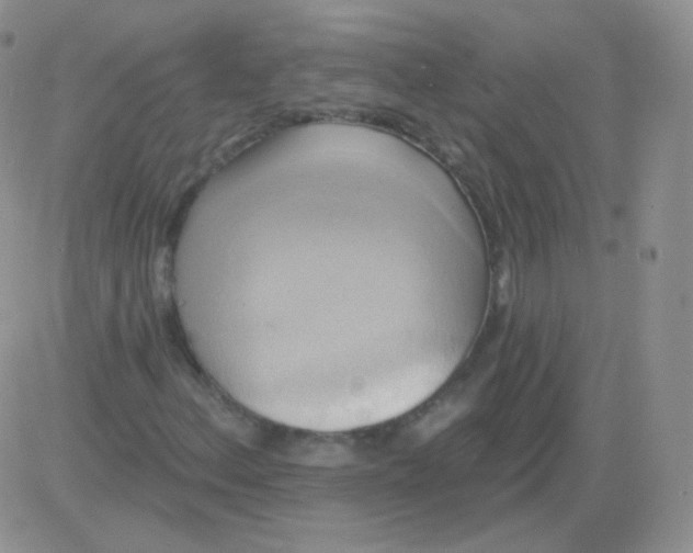 X0000083041156200702231922