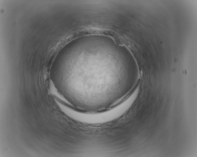 X0000083041157200702231922