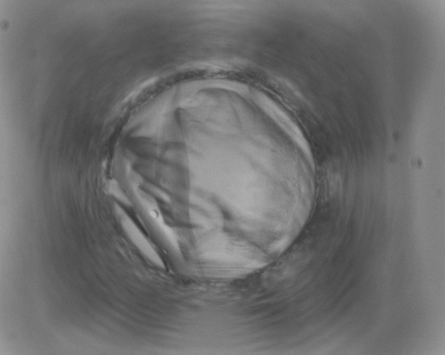 X0000083041158200702231922