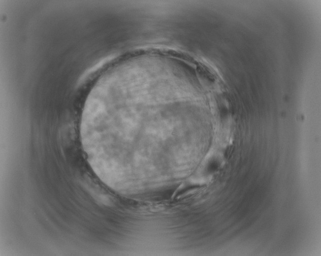 X0000083041159200702231922