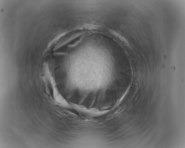 X0000083041160200702231922