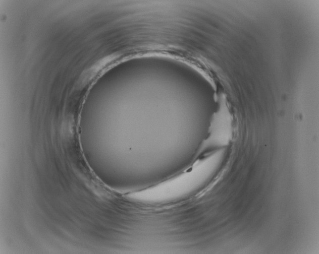 X0000083041161200702231922