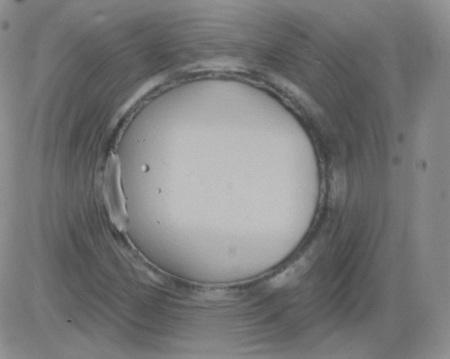 X0000083041162200702231922