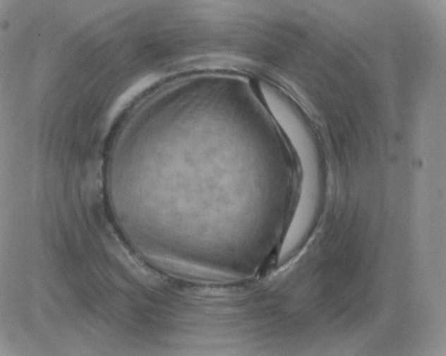 X0000083041164200702231922