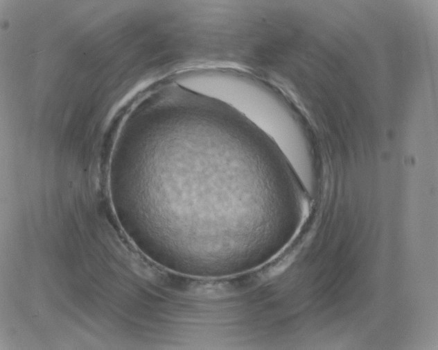 X0000083041165200702231922