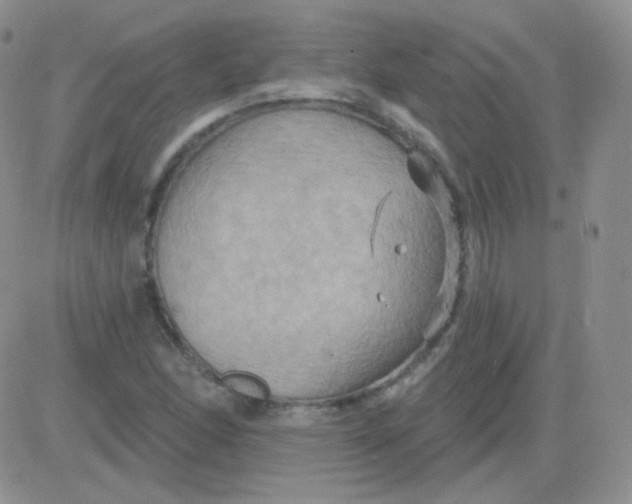 X0000083041166200702231922