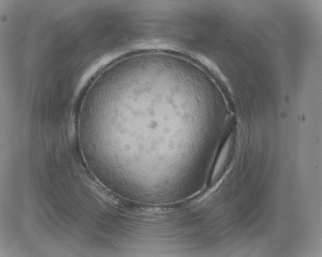 X0000083041167200702231922