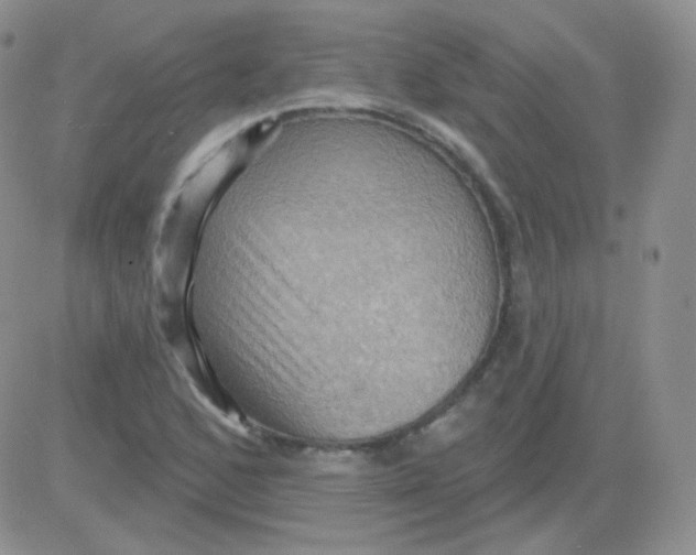 X0000083041168200702231922