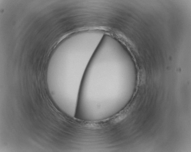 X0000083041169200702231922