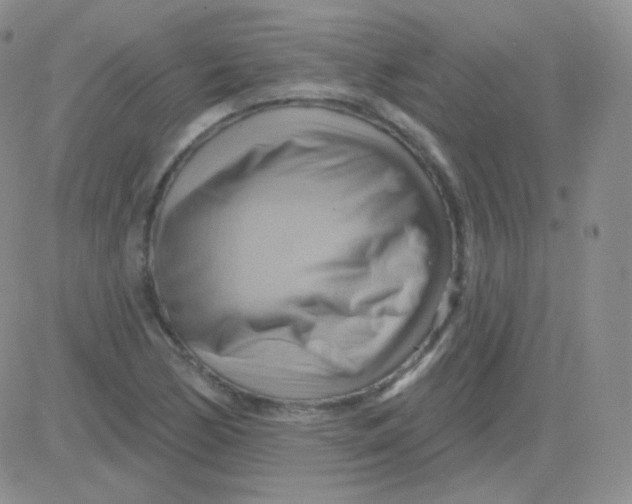 X0000083041170200702231922