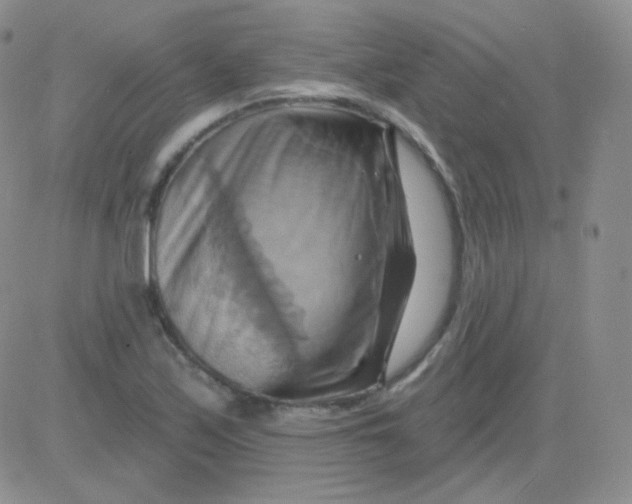 X0000083041171200702231922