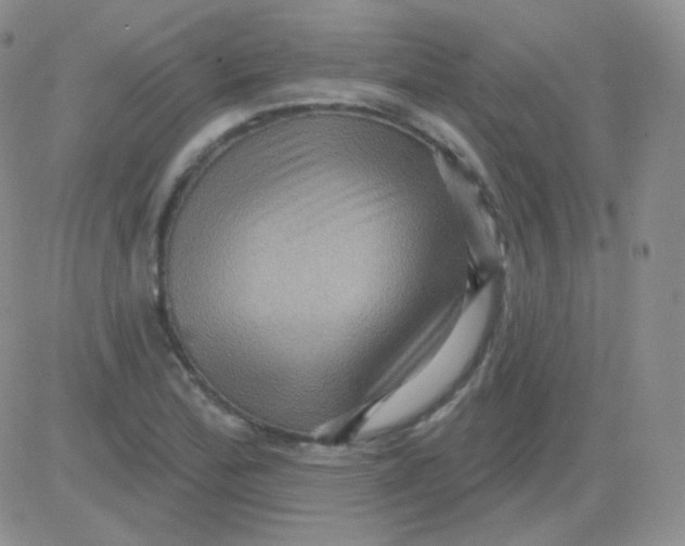 X0000083041172200702231922